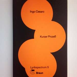 Kurzer Prozess